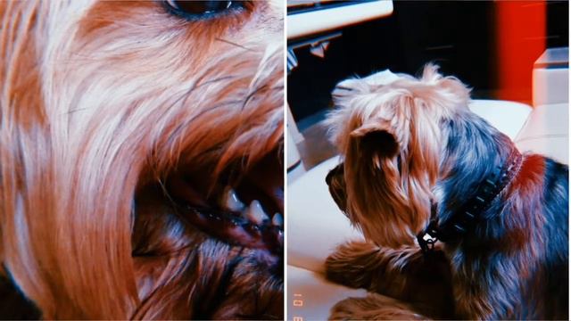 Чёртов Кубик смотреть онлайн