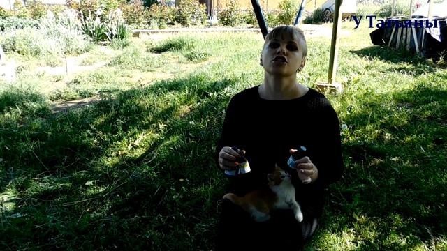 Избавляемся от ПАУТИННОГО КЛЕЩА простейшими средствами! смотреть онлайн