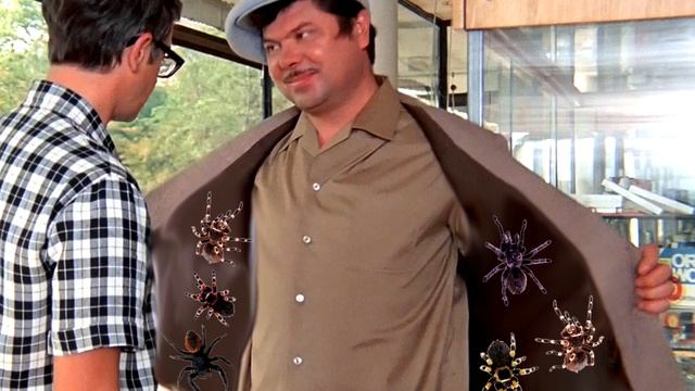 БЕЛОКОЛЕННЫЙ ПАУК ПТИЦЕЕД История одной линьки.( Acanthoscurria geniculata ) смотреть онлайн