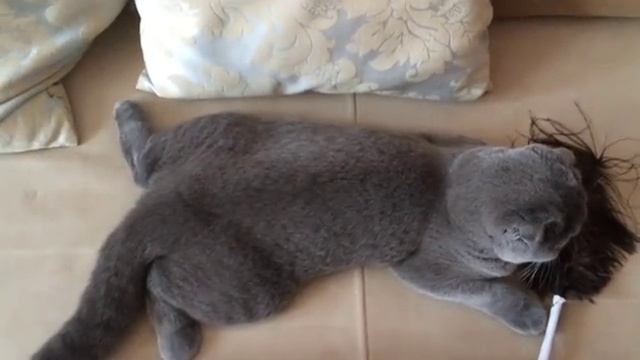 Отдых после тяжелого дня смотреть онлайн