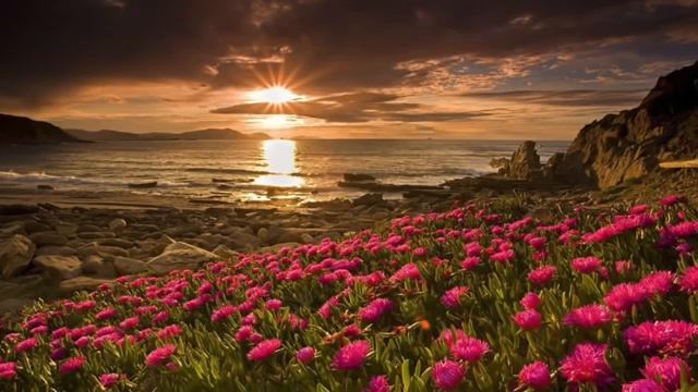 Спокойная музыка смотреть онлайн