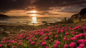 Спокойная музыка