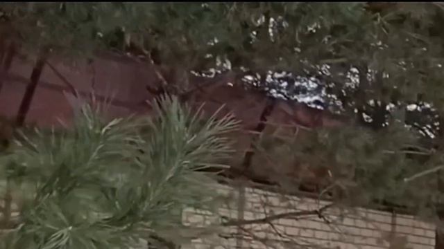 Город шумит от суеты смотреть онлайн