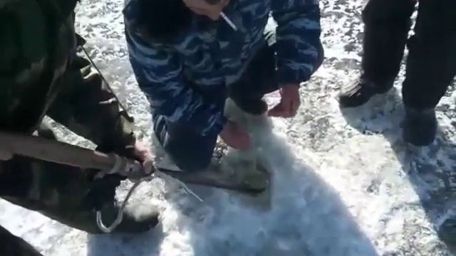 Ловля щуки зимой. Рыбалка на щуку. смотреть онлайн