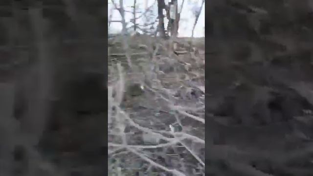 3 армейский корпус российской армии. смотреть онлайн