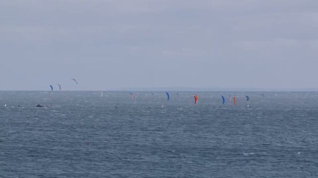 HydroFoil Pro Tour foil racing: Fehmarn - Day four смотреть онлайн