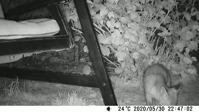 Christina's Garden visitors смотреть онлайн