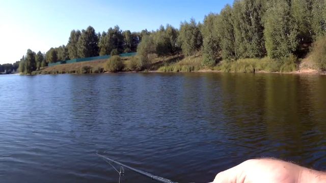 Рыбсики-Шибздики. Вечерняя рыбалка на пруду. смотреть онлайн