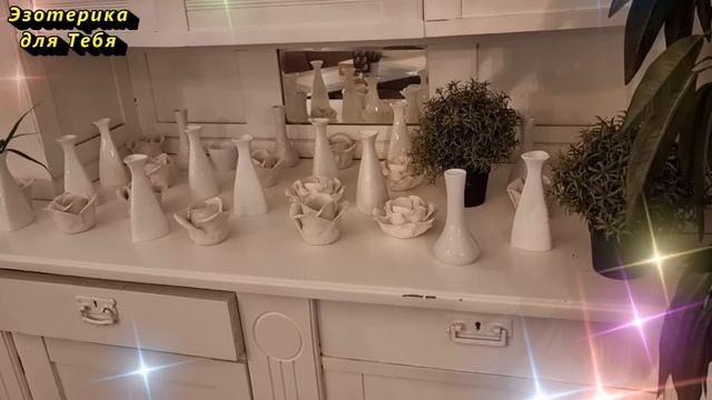 Когда встреча с пауком предвещает прибыль, а когда неудачи. К чему появляются пауки в доме смотреть онлайн