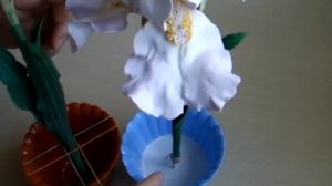 КАК ЗАКРЕПИТЬ ИНТЕРЬЕРНЫЙ ЦВЕТОК В ПЛАСТИКОВОМ ГОРШОЧКЕ