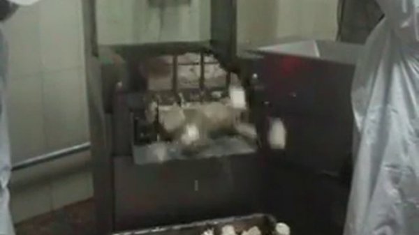 Гильотинная блогорезка QK 2000