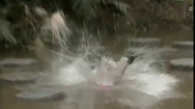 DJ YUJU! - Zamburguesas смотреть онлайн