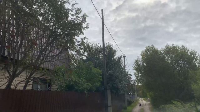 КАК МЫ САМОСТОЯТЕЛЬНО УБРАЛИ ЭЛЕКТРИЧЕСКИЙ СТОЛБ