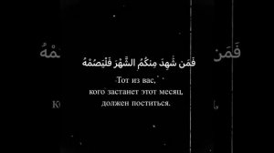 Умар Сильдинский очень красивое чтение корана