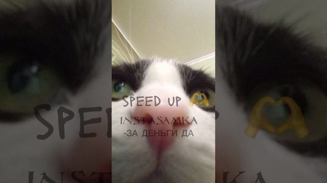 speed up (INSTASAMKA ЗА ДЕНЬГИ ДА)??? \\sped song// смотреть онлайн