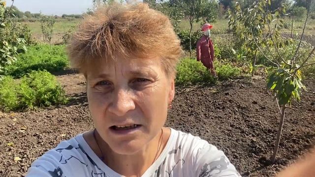 Ручной культиватор 