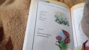 ВЛОГ С БАСИКАМИ