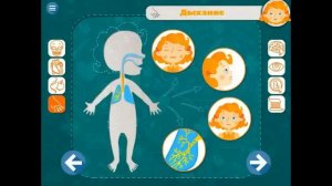 МУЛЬТИК ЭТО МОЕ ТЕЛО | АНАТОМИЯ ДЛЯ ДЕТЕЙ | Смотреть развивающее видео | Слушать онлайн