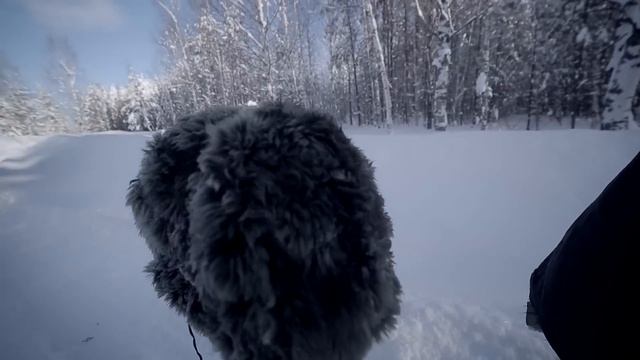 Захар Прилепин+Элефанк; РИЧ; Хаски - Чёрно-белый буги смотреть онлайн