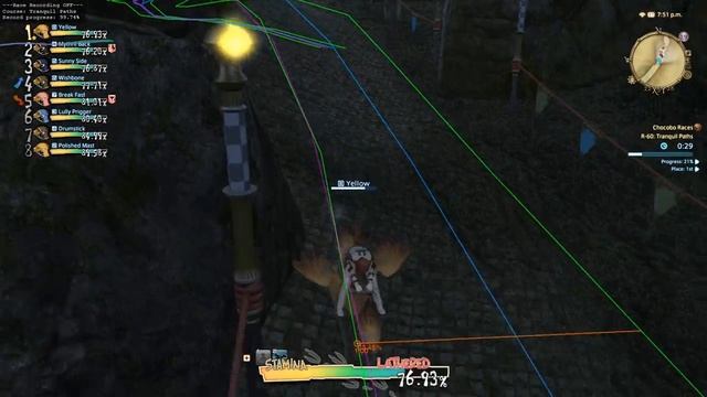 Miqobot - FFXIV DirectX11 bot - Chocobo Racing смотреть онлайн