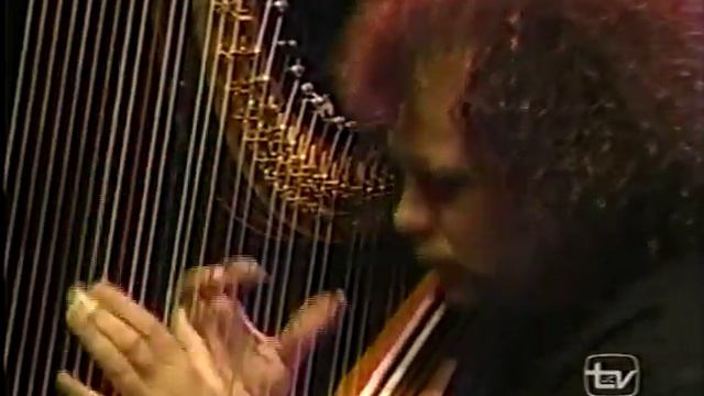 Andreas Vollenweider & Friends - Stgo De Chile 1995