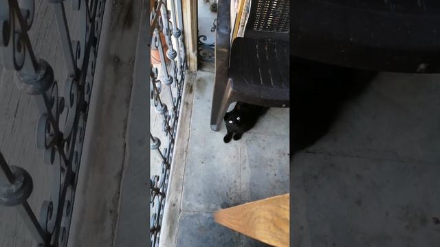А вот и он, ночной гость смотреть онлайн