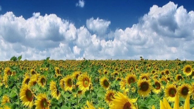 Валерий Дурандин. Ты ушла...