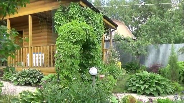 Дача Красим холодильник Обзор хозблока Стрижка елей и кустарников смотреть онлайн