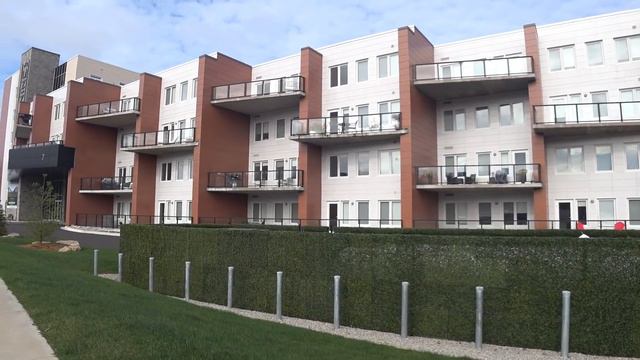 Зачем я сюда приехала?? / История одной иммигрантки из России смотреть онлайн
