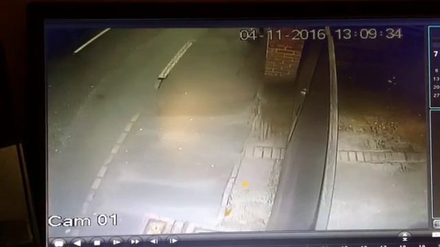 Dirty git shits anywhere please pick up after your animal смотреть онлайн