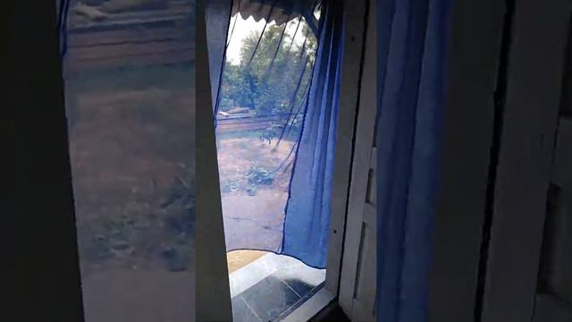 Голуби которые купаются в песке. смотреть онлайн