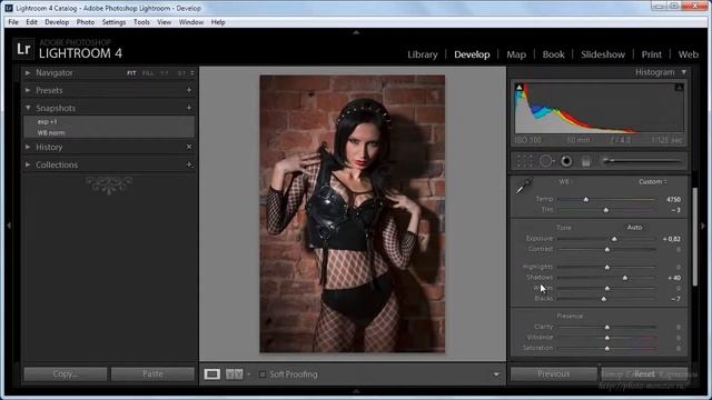 Урок 5 Работа в модуле Develop Часть 1 Lightroom 4 смотреть онлайн