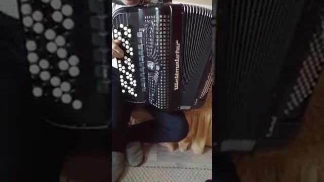 Баян Weltmeister supita Kantora смотреть онлайн