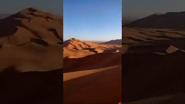 desert rose sun raise 6 смотреть онлайн