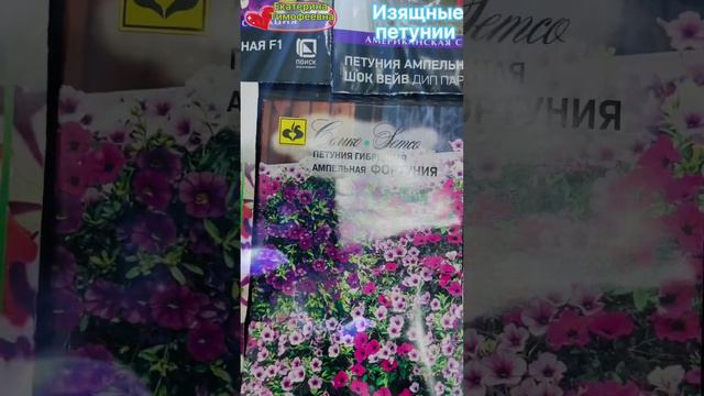 Разнообразие петуний от @user-xn4yd5ug6i @SemenaPartner #петуния #петунии #рассада@semco_junior1991