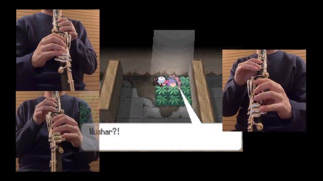 Pokémon Black & White - "Dreamyard" Clarinet Cover смотреть онлайн