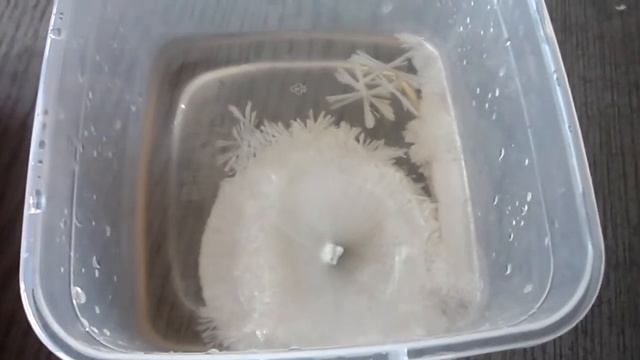 кристаллизация CH3COONa смотреть онлайн