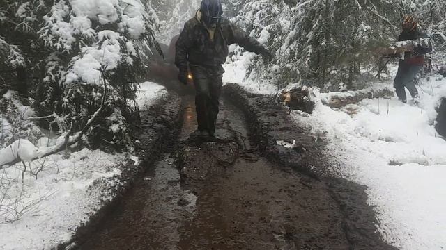 Бужарово Карельский лес сф х8 смотреть онлайн