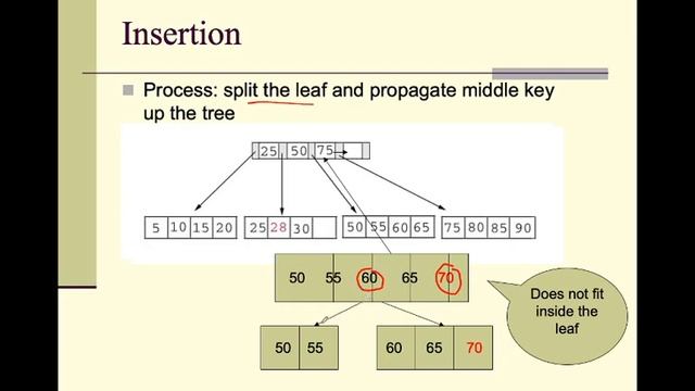 B+ Tree(searching, insertion , deletion) смотреть онлайн