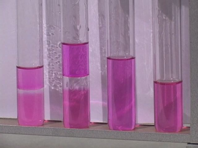 Химия. Опыты. Органика. Физические свойства спиртов смотреть онлайн