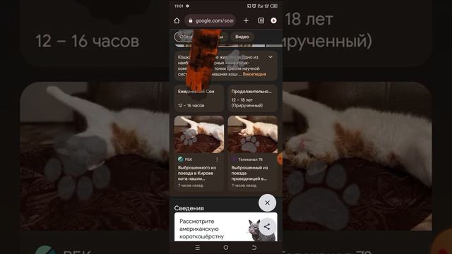 хихи смотреть онлайн