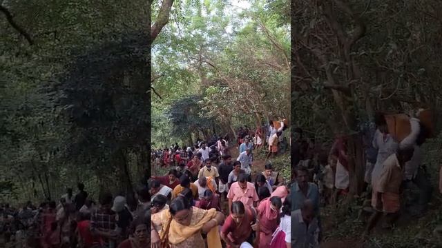 രായിരനെല്ലൂർ മല കയറ്റം.നാറാണത്ത് ഭ്രാന്തന്റെ സ്മരണകൾ ഉണർത്തി രായിരനെല്ലൂർ മലകയറ്റം ഇന്ന് смотреть онлайн