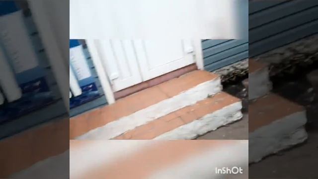 Раздаём деньги в Навле. смотреть онлайн