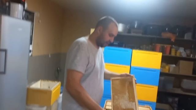 Откачка Двухматочных Семей!!! Дома Сезон Окончен!!! смотреть онлайн