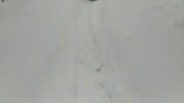 "@"Деревенька моя, старая ?⛄⛄Зима в деревне/Банный день))???⛄???????? смотреть онлайн