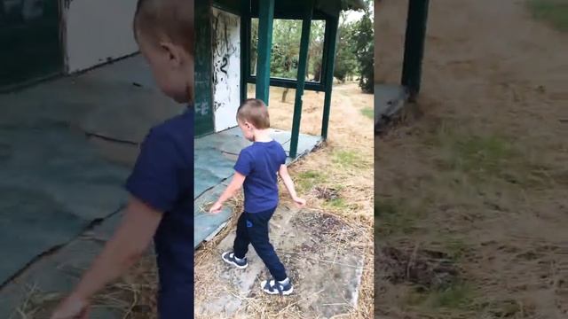Заброшенный Коктебель, база отдыха, брошенная много лет назад, 2019 год, Крым. №1 смотреть онлайн