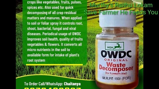 145. Nematode controle with OWDC in terrace garden | OWDC తో nematode నియంత్రణ смотреть онлайн