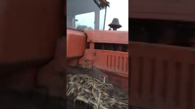 Пахота по кукурузе на ДТ 75 смотреть онлайн