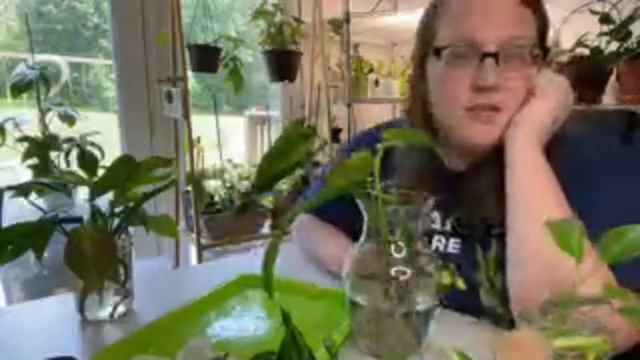 Come Hangout and Do Plant Chores With Me! Chopping My Reverted Pedatum Project смотреть онлайн