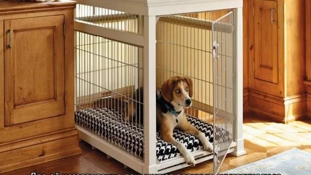 Клетка для собак в квартиру: металлическая и мягкая смотреть онлайн